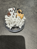 Dog Line Up
